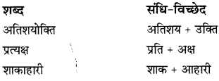 CBSE Class 9 Hindi B व्याकरण संधि 16