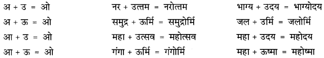 CBSE Class 9 Hindi B व्याकरण संधि 5
