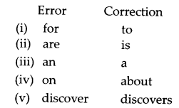 CBSE Previous Year Question Papers Class 10 English 2019 Delhi 4