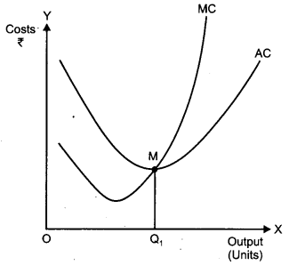 CBSE Previous Year Question Papers Class 12 Economics 2011 Outside Delhi 8