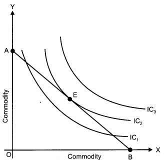 CBSE Previous Year Question Papers Class 12 Economics 2013 Delhi 14
