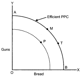CBSE Previous Year Question Papers Class 12 Economics 2013 Delhi 8