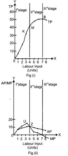 CBSE Previous Year Question Papers Class 12 Economics 2015 Outside Delhi 13