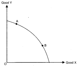 CBSE-Previous-Year-Question-Papers-Class-12-Economics-2019-Delhi-1