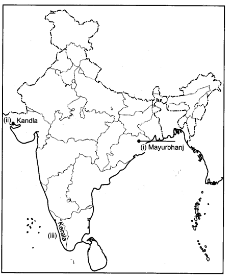 CBSE Previous Year Question Papers Class 12 Geography 2013 Delhi 5