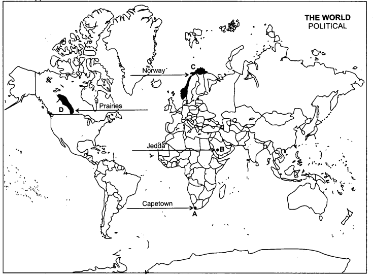 CBSE Previous Year Question Papers Class 12 Geography 2013 Outside Delhi 3