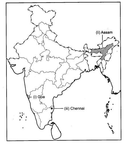 CBSE Previous Year Question Papers Class 12 Geography 2014 Outside Delhi 5