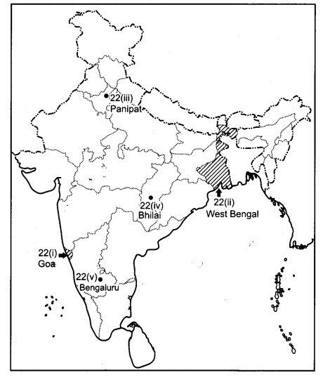 CBSE Previous Year Question Papers Class 12 Geography 2015 Delhi 3