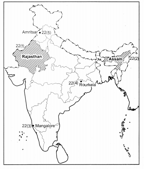 CBSE Previous Year Question Papers Class 12 Geography 2015 Outside Delhi 4