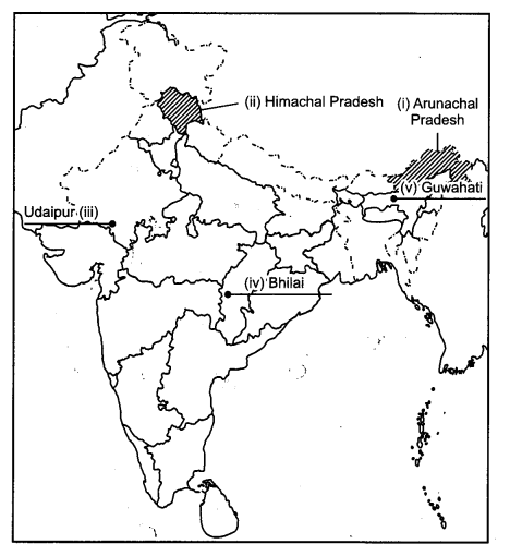 CBSE Previous Year Question Papers Class 12 Geography 2016 Outside Delhi 4