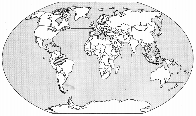 CBSE Previous Year Question Papers Class 12 Geography 2017 Delhi 3
