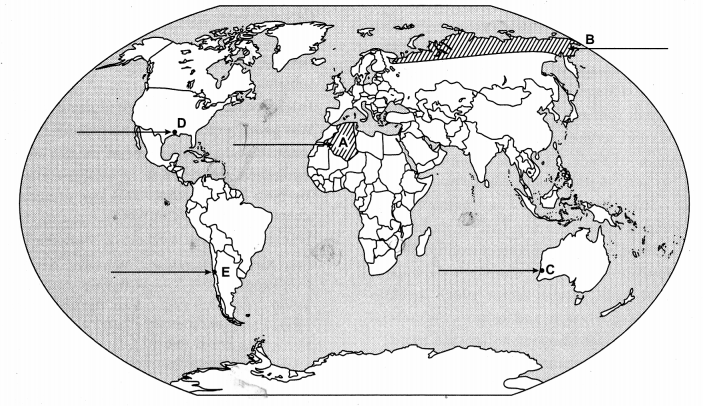 CBSE Previous Year Question Papers Class 12 Geography 2017 Outside Delhi 3