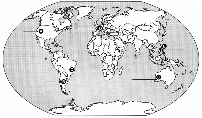 CBSE Previous Year Question Papers Class 12 Geography 2019 Delhi 4