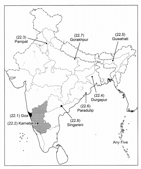 CBSE Previous Year Question Papers Class 12 Geography 2019 Delhi 6