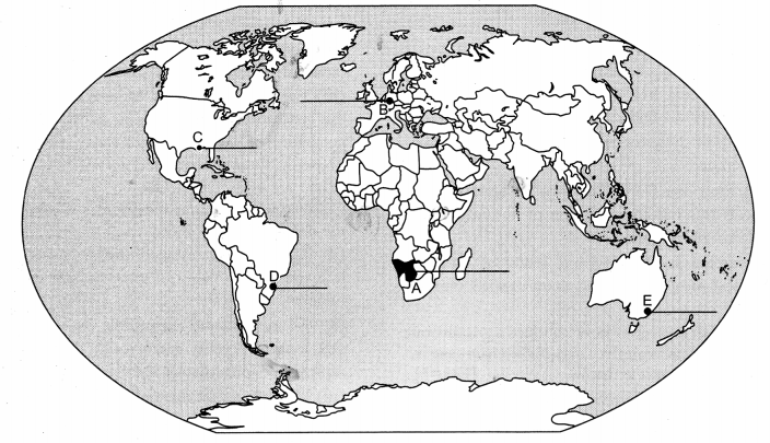 CBSE Previous Year Question Papers Class 12 Geography 2019 Outside Delhi 3