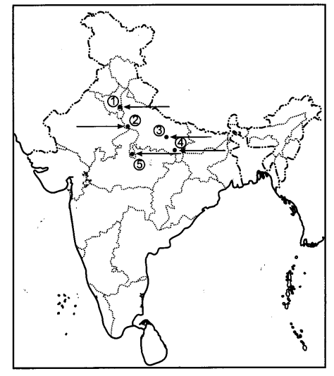CBSE Previous Year Question Papers Class 12 History 2013 Delhi 3