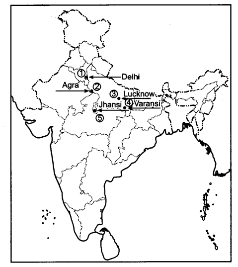 CBSE Previous Year Question Papers Class 12 History 2013 Delhi 4