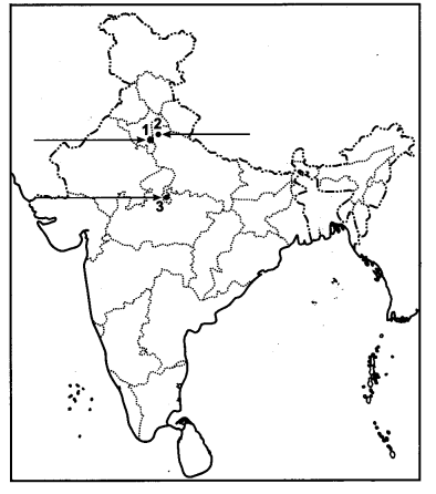 CBSE-Previous-Year-Question-Papers-Class-12-History-2013-Outside-Delhi-1