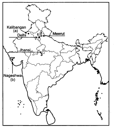 CBSE Previous Year Question Papers Class 12 History 2013 Outside Delhi 2
