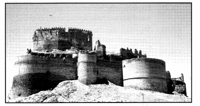 CBSE Previous Year Question Papers Class 12 History 2014 Delhi 2
