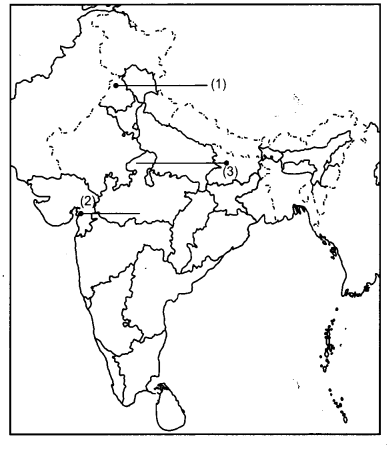 CBSE Previous Year Question Papers Class 12 History 2014 Delhi 3