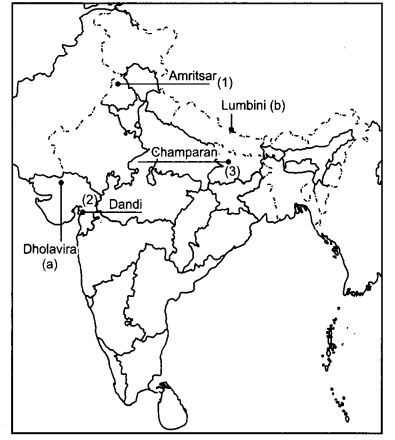 CBSE Previous Year Question Papers Class 12 History 2014 Delhi 4
