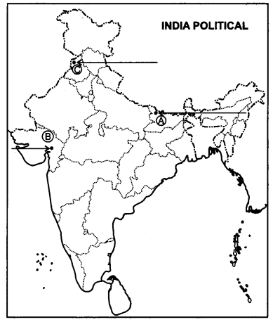 CBSE-Previous-Year-Question-Papers-Class-12-History-2015-Delhi-1
