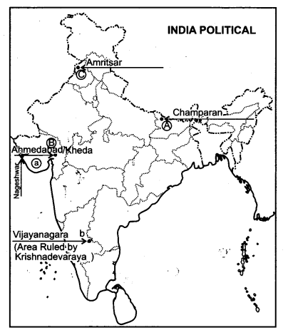 CBSE Previous Year Question Papers Class 12 History 2015 Delhi 2