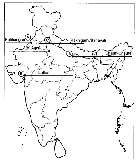 CBSE Previous Year Question Papers Class 12 History 2016 Outside Delhi 2