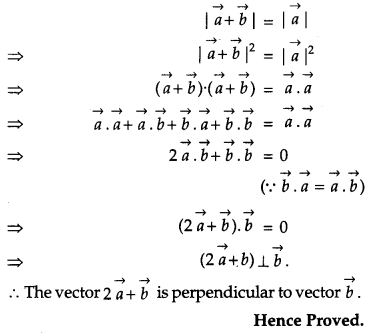 CBSE Previous Year Question Papers Class 12 Maths 2013 Delhi 43