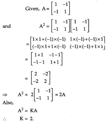 CBSE Previous Year Question Papers Class 12 Maths 2013 Outside Delhi 3