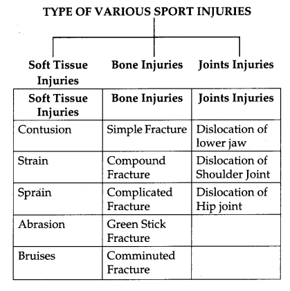 CBSE-Previous-Year-Question-Papers-Class-12-Physical-Education-2017-Outside-Delhi-1