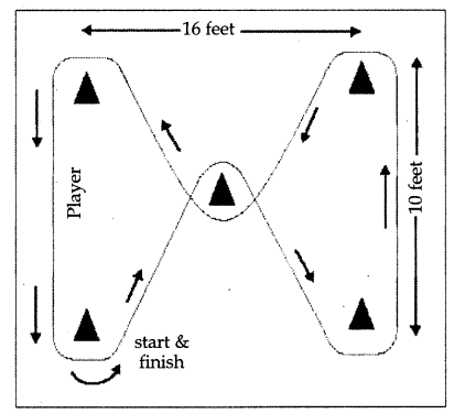 CBSE Previous Year Question Papers Class 12 Physical Education 2018 Delhi 5