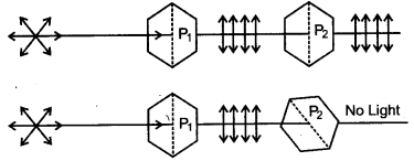 CBSE Previous Year Question Papers Class 12 Physics 2011 Delhi 23