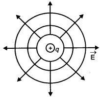 CBSE-Previous-Year-Question-Papers-Class-12-Physics-2013-Delhi-1