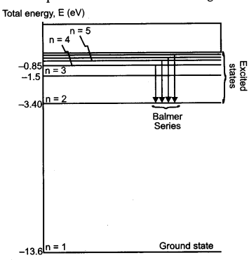 CBSE Previous Year Question Papers Class 12 Physics 2013 Delhi 25