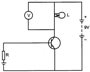 CBSE Previous Year Question Papers Class 12 Physics 2013 Delhi 8