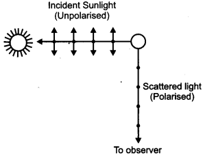 CBSE Previous Year Question Papers Class 12 Physics 2013 Outside Delhi 29