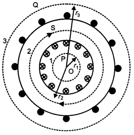 CBSE Previous Year Question Papers Class 12 Physics 2013 Outside Delhi 34