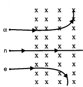 CBSE Previous Year Question Papers Class 12 Physics 2016 Delhi 13
