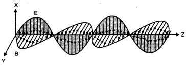 CBSE Previous Year Question Papers Class 12 Physics 2016 Delhi 19