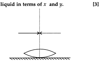 CBSE Previous Year Question Papers Class 12 Physics 2018 30