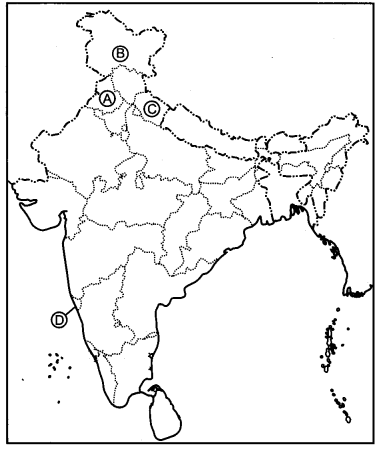 CBSE-Previous-Year-Question-Papers-Class-12-Political-Science-2013-Outside-Delhi-1