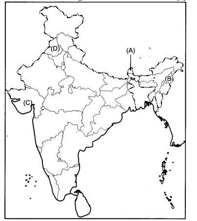 CBSE Previous Year Question Papers Class 12 Political Science 2014 Delhi 2
