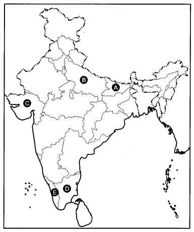 CBSE Previous Year Question Papers Class 12 Political Science 2015 Delhi 2