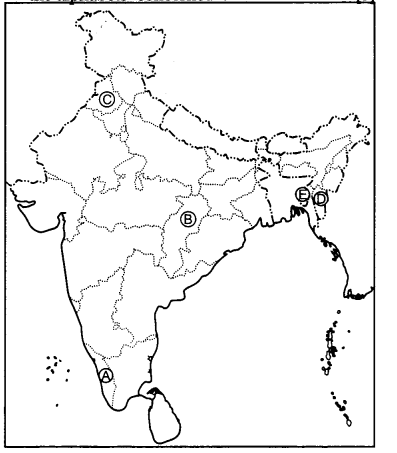 CBSE Previous Year Question Papers Class 12 Political Science 2015 Outside Delhi 2