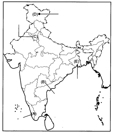 CBSE Previous Year Question Papers Class 12 Political Science 2018 Delhi 2