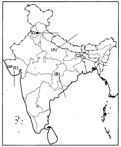 CBSE Previous Year Question Papers Class 12 Political Science 2018 Outside Delhi 2