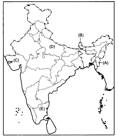 CBSE Previous Year Question Papers Class 12 Political Science 2019 Delhi 2