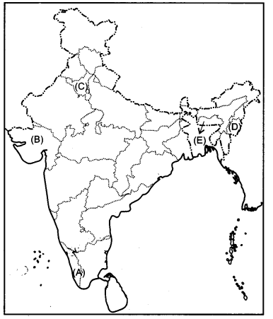 CBSE Previous Year Question Papers Class 12 Political Science 2019 Outside Delhi 2
